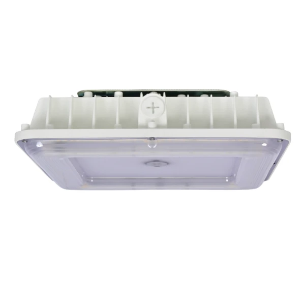 Oprawy LED do puszek