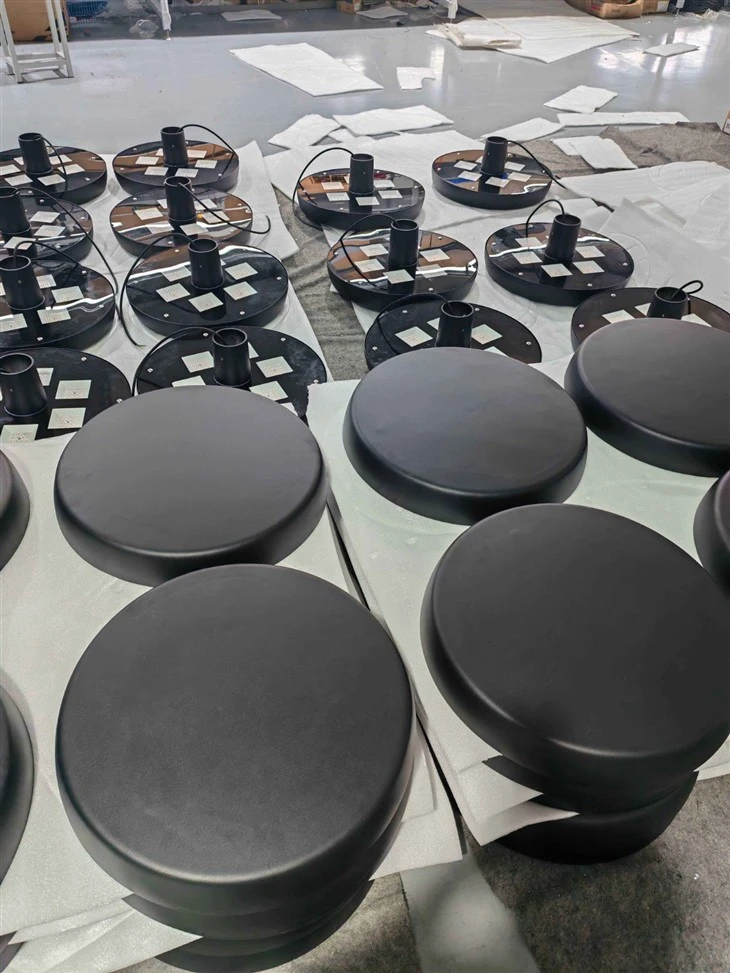 Outdoor Light 220v 50w Led Light Garden Landscape factory
